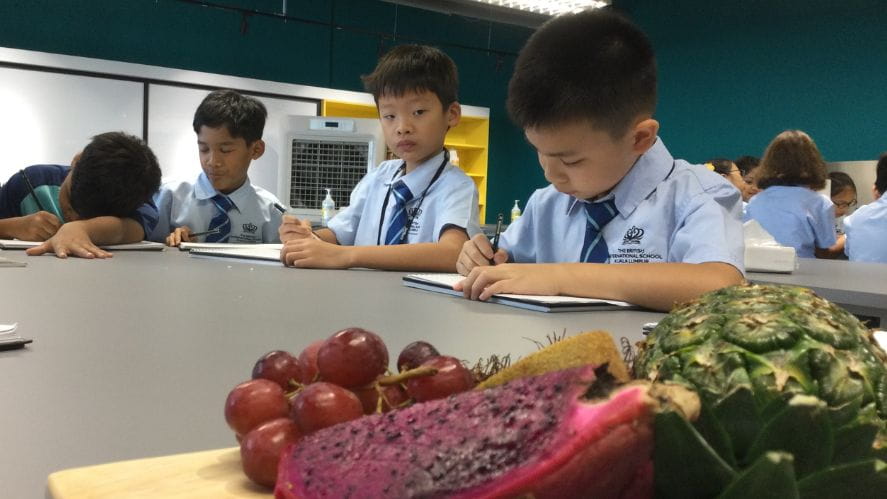 Primary Art Facilities - Primary Art Facilities