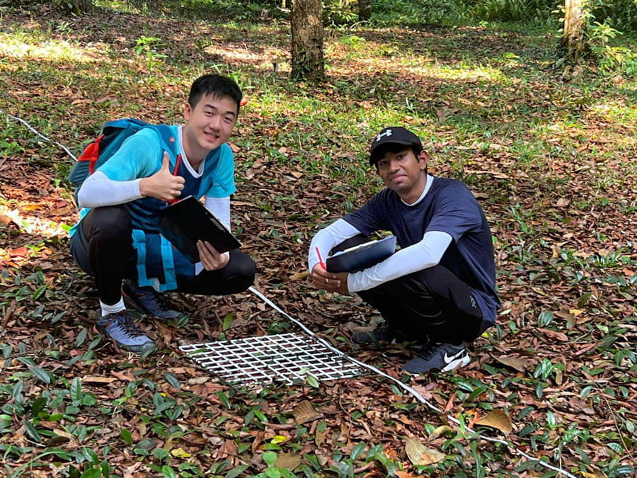 Ecology Trip to FRIM