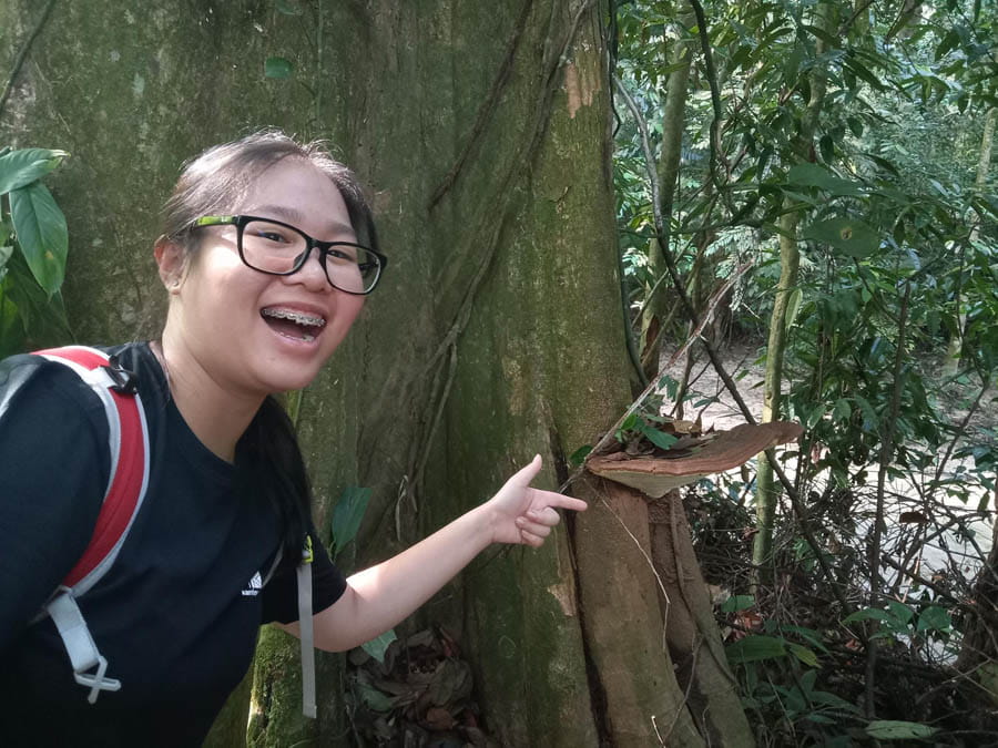 Ecology Trip to FRIM