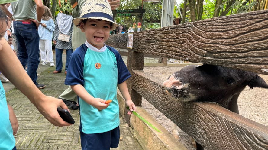 EYFS Trip - Carousel For News Detail