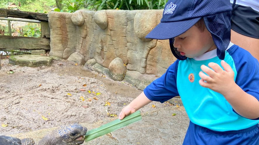 EYFS Trip - Carousel For News Detail