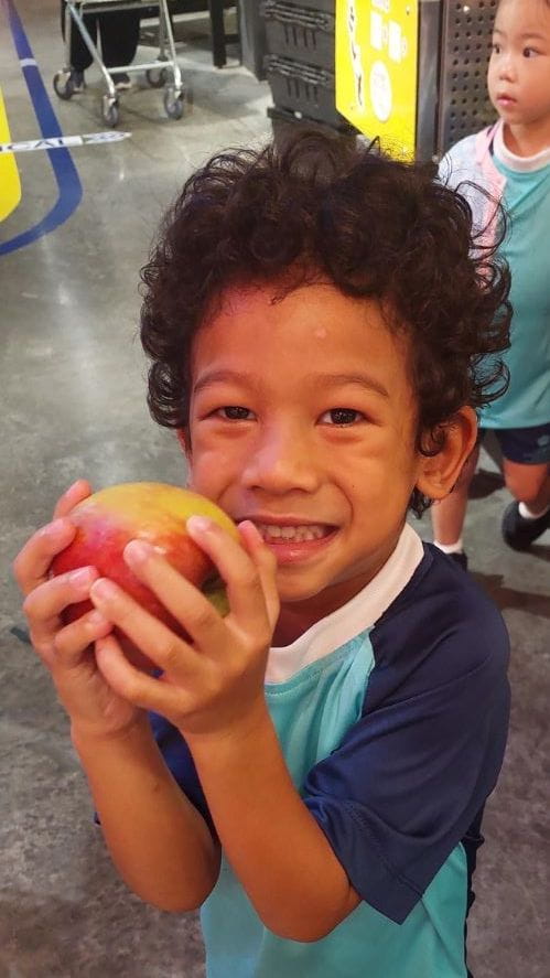 EYFS Trip - Carousel For News Detail