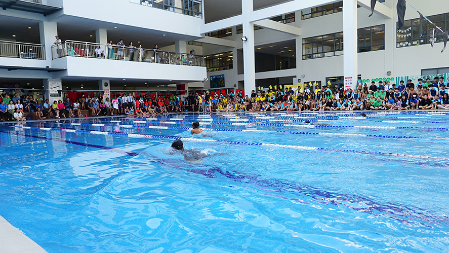 Swim Gala 2024