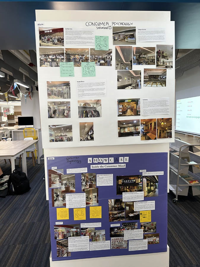 Psychology Projects Display