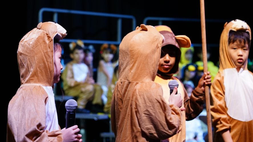 It's a Zany Zoo - Carousel For News Detail