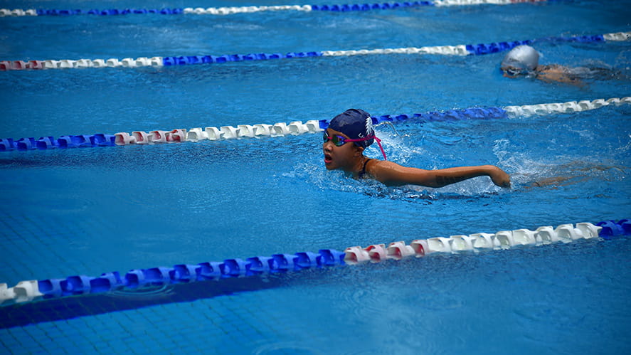 Swim Meet 2024