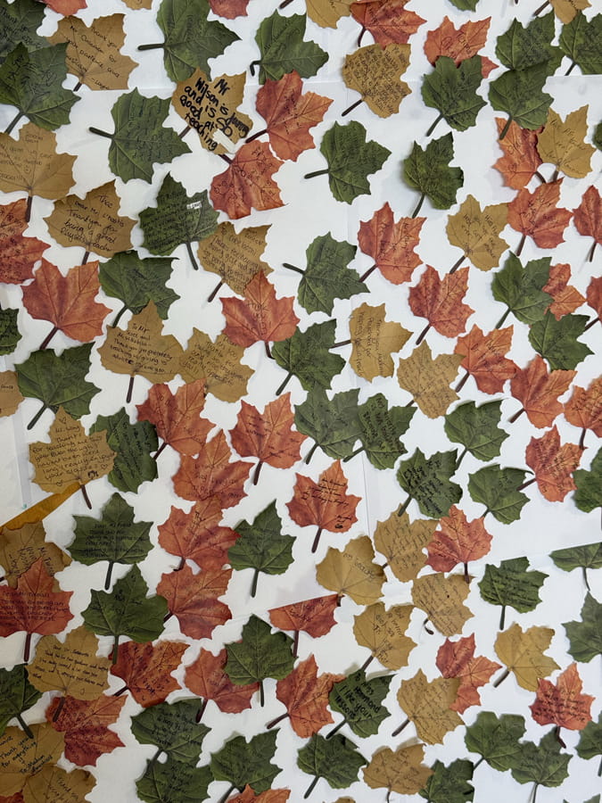 Teacher Appreciation Day - A Tree of Gratitude - Carousel For News Detail