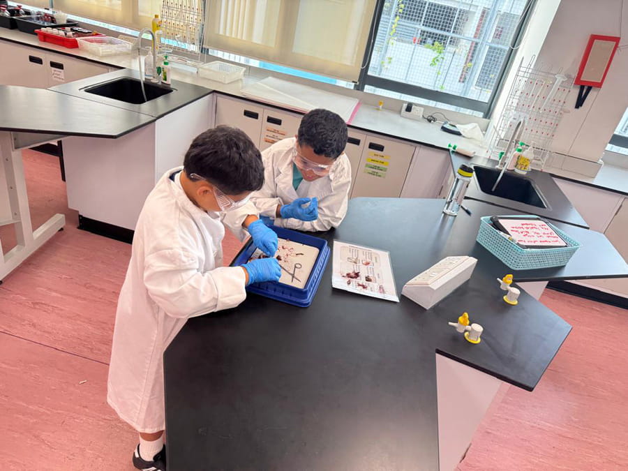 A Look Inside our Year 6 Transition Days - Carousel For News Detail