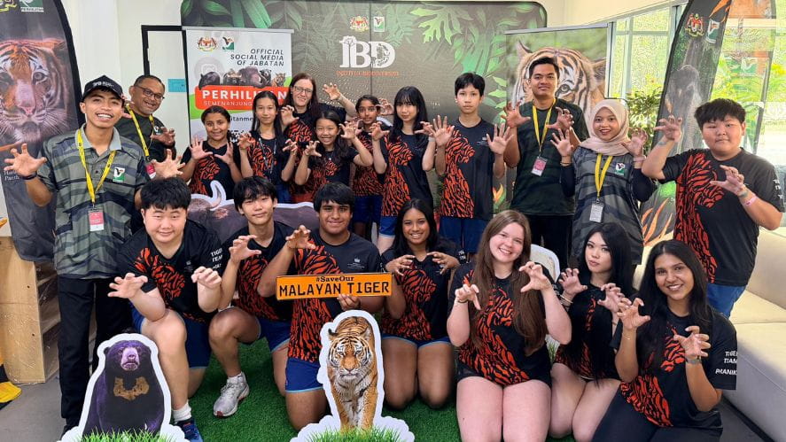 Defending the roar: BSKL for Malayan Tigers raises RM102,800 for conservation - BSKL for malayan tigers donation