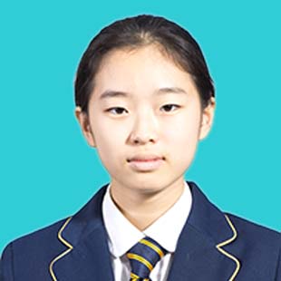 教学特色与学术优势|南京英国国际学校 - Feature Cards Pattern