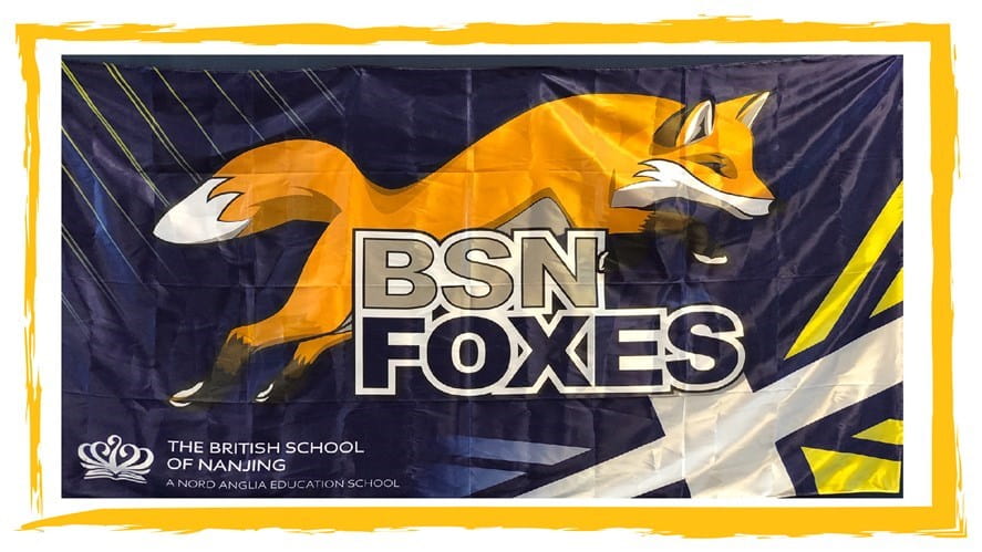 BSN Foxes compete in Shanghai Swim League Championship Meet-bsn-foxes-compete-in-shanghai-swim-league-championship-meet-Fox Flag100