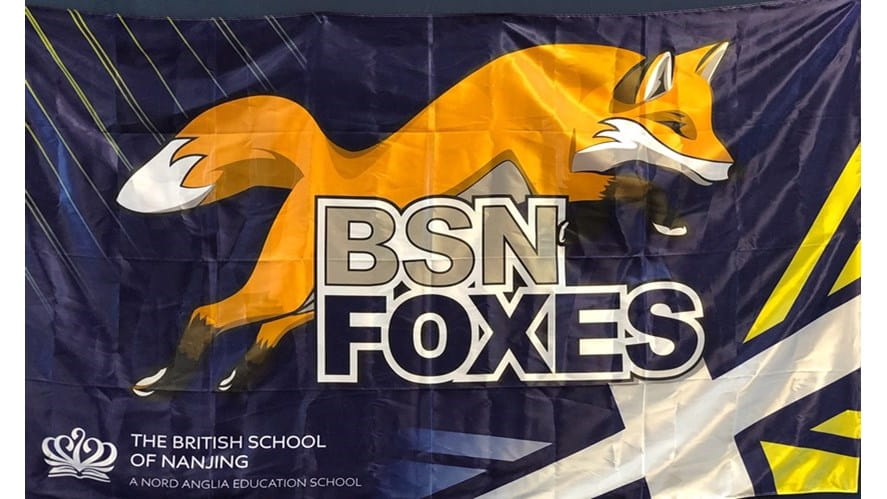 BSN Foxes compete in Shanghai Swim League Championship Meet - bsn-foxes-compete-in-shanghai-swim-league-championship-meet