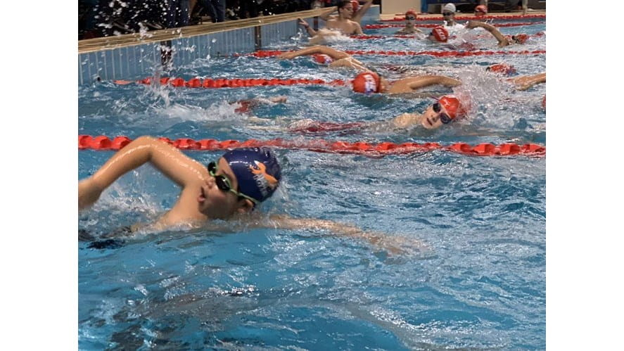 BSN Foxes Compete in Shanghai Swim League - bsn-foxes-compete-in-shanghai-swim-league