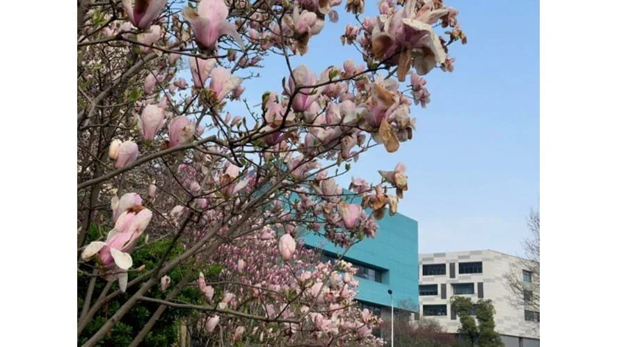 Spring 2