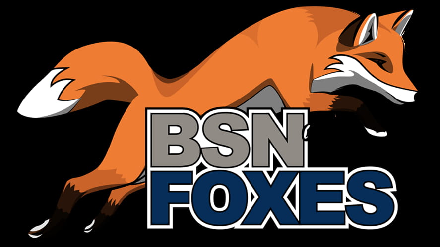 The BSN Foxes competed in the Annual CISSA Touch Rugby Competition on Saturday.-the-bsn-foxes-competed-in-the-annual-cissa-touch-rugby-competition-on-saturday-Foxes01b