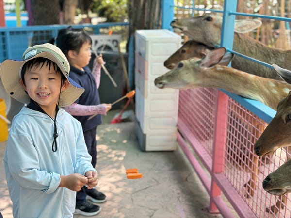 Oak课堂|一次出发,开启更多探索! - Oak Class Journey to ZiQing Lake Safari Park