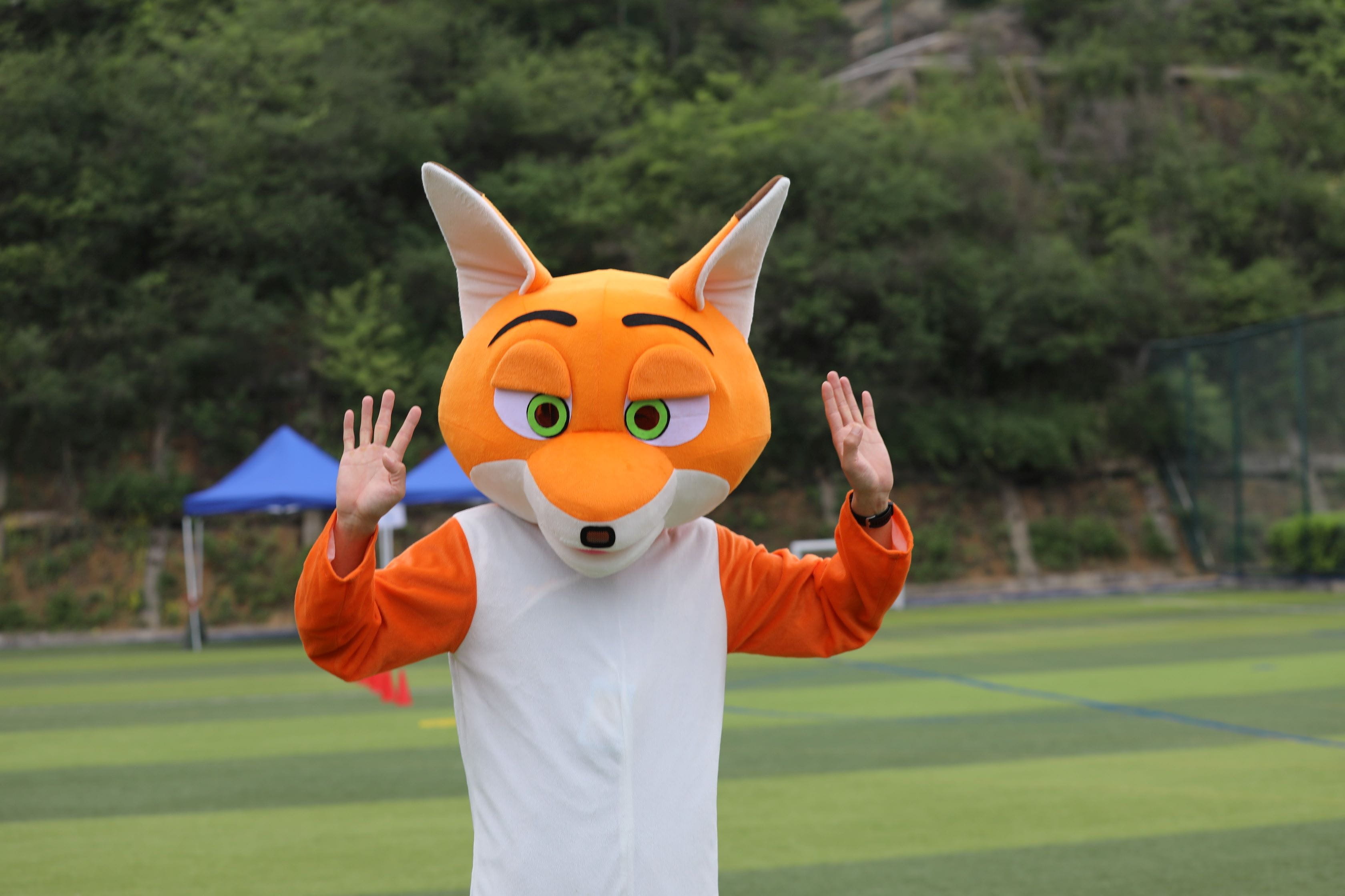 Sports Day Excitement - Sports Day