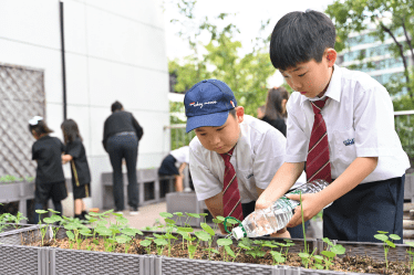 Academic Excellence | British School of Nanjing - Visual Time Line Tabs