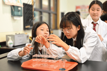 Academic Excellence | British School of Nanjing - Visual Time Line Tabs