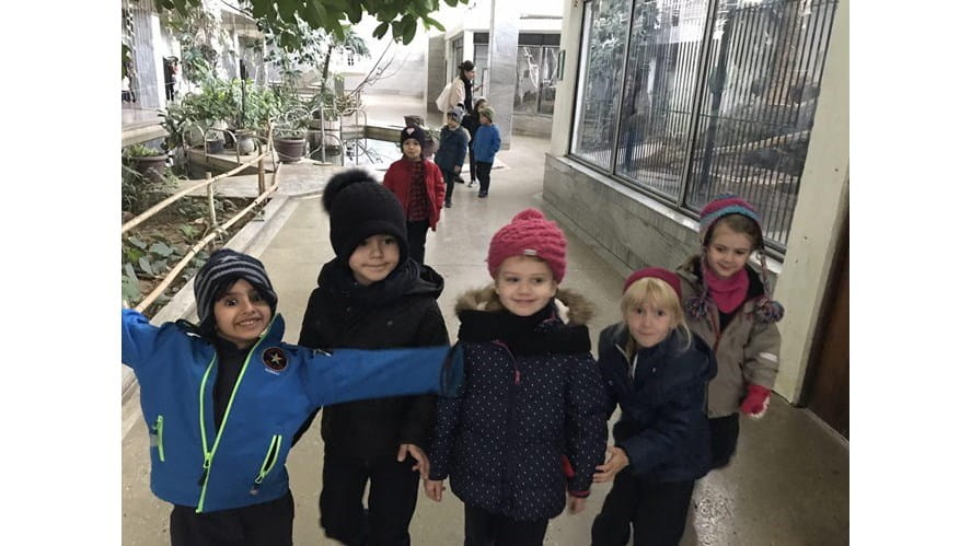 EYFS children visits zoo-eyfs-children-visits-zoo-eyfszoovisit 3