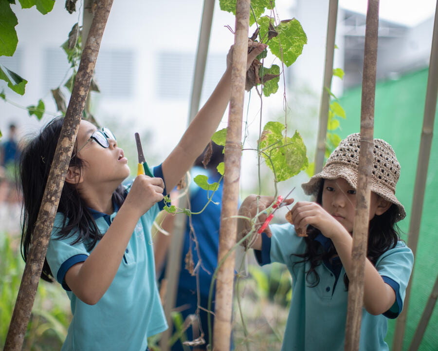 Image_BSY_Yangon_2023_168