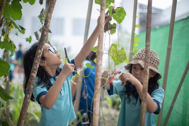 Image_BSY_Yangon_2023_168