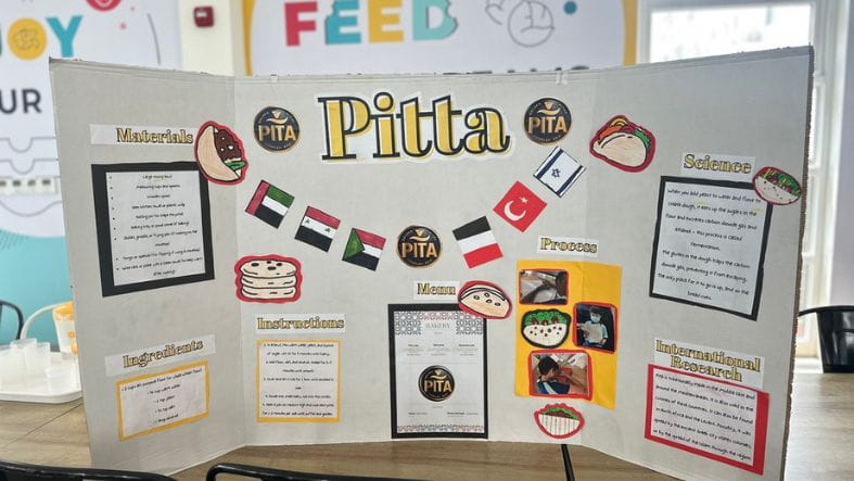 Year 5 Exit Point - Year 5 Exit Point