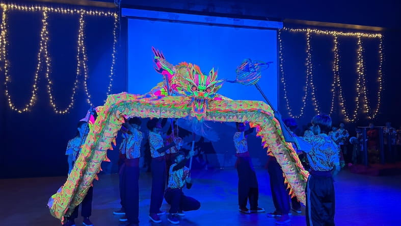 Chinese New Year 2025 - Chinese New Year