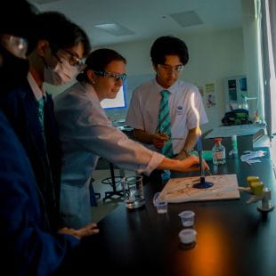 The British School Yangon | International School in Yangon | BSY - Feature Cards Pattern