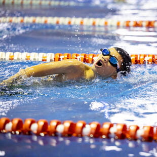 Image_BVIS_Hanoi_2023_340