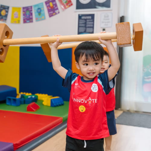 BVIS Hà Nội, Trường quốc tế đa cấp anh việt hoàng gia (bvis) - Small Text And Image Checklist