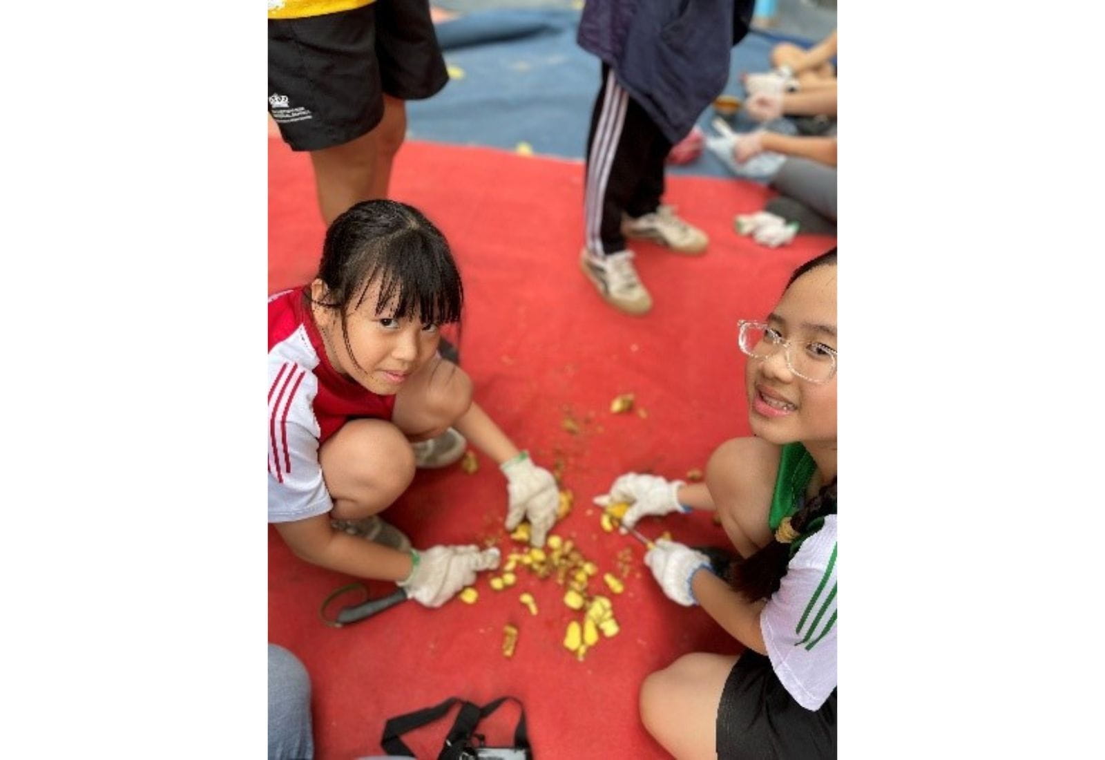 Bản tin hàng tuần ngày 10/11/2023 - Weekly Updates on 10-11-2023