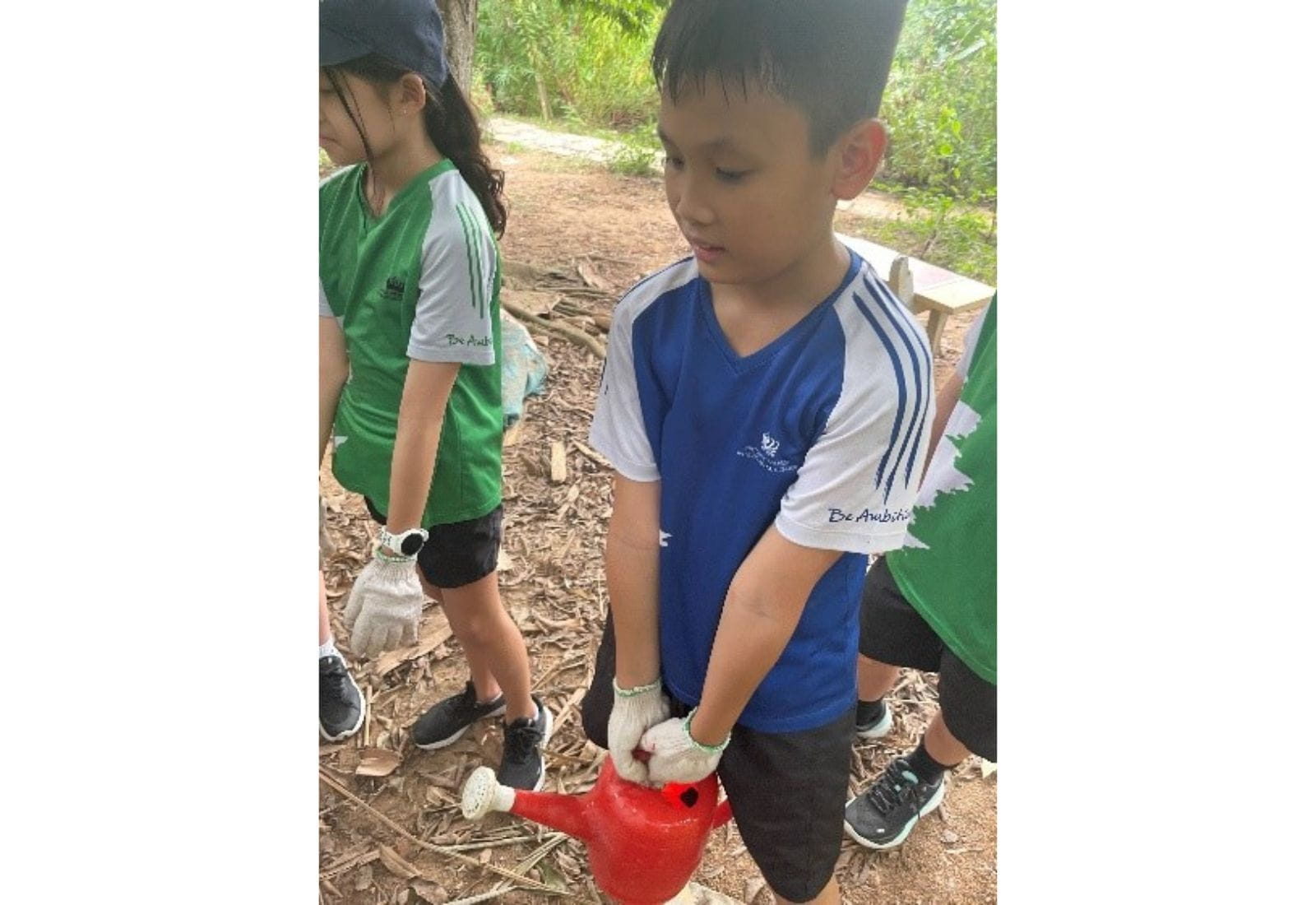 Bản tin hàng tuần ngày 10/11/2023 - Weekly Updates on 10-11-2023