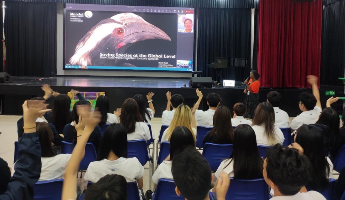 Weekly Updates on 17/11/2023 | BVIS Hanoi - Weekly Updates on 17-11-2023