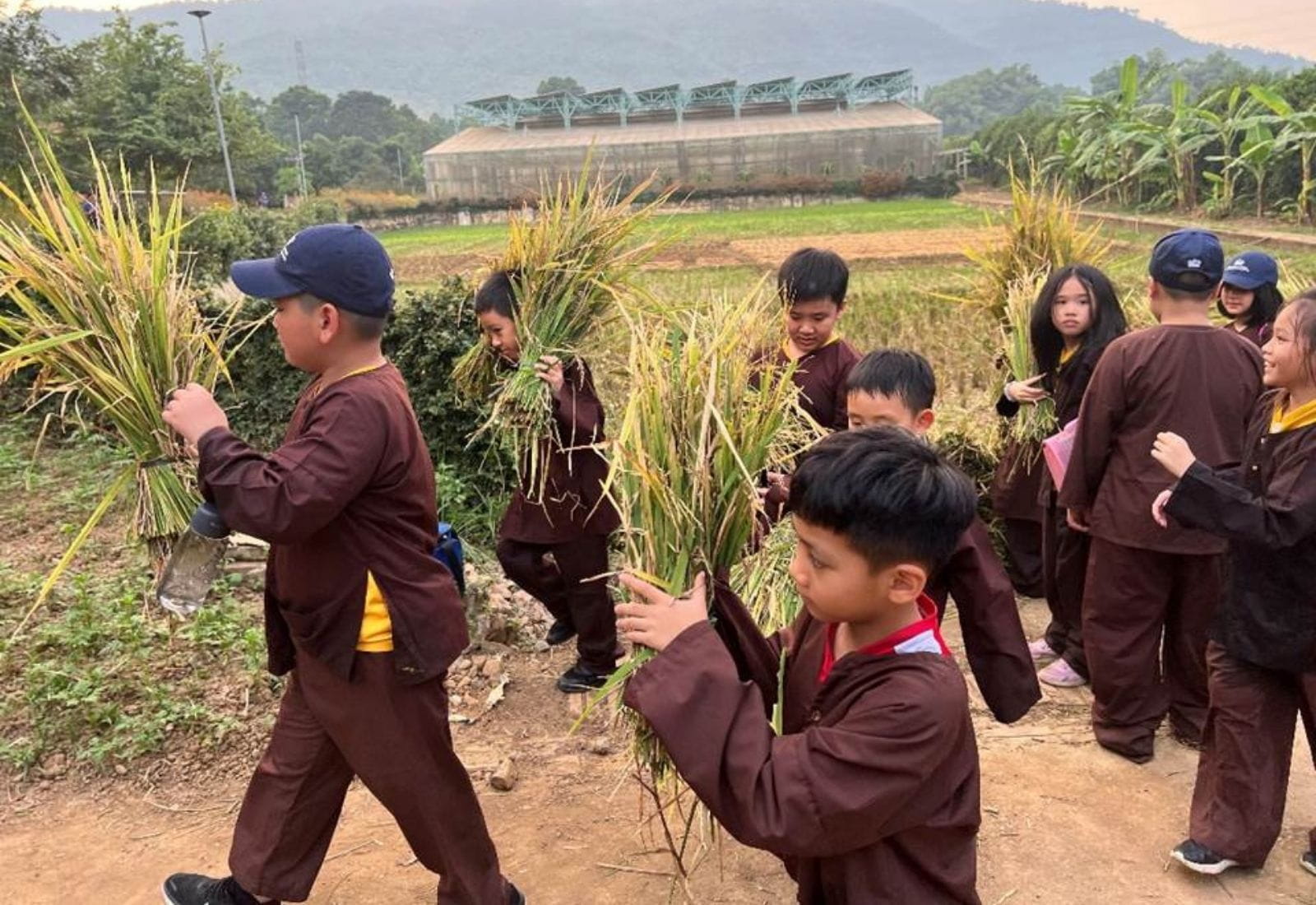 Bản tin hàng tuần ngày 3/11/2023 - Weekly Updates on 3-11-2023