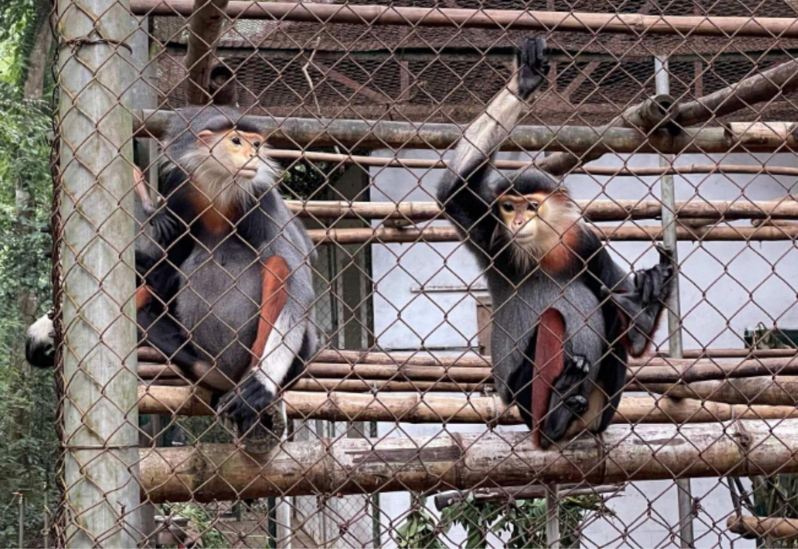 Weekly Updates on 3/11/2023 | BVIS Hanoi - Weekly Updates on 3-11-2023