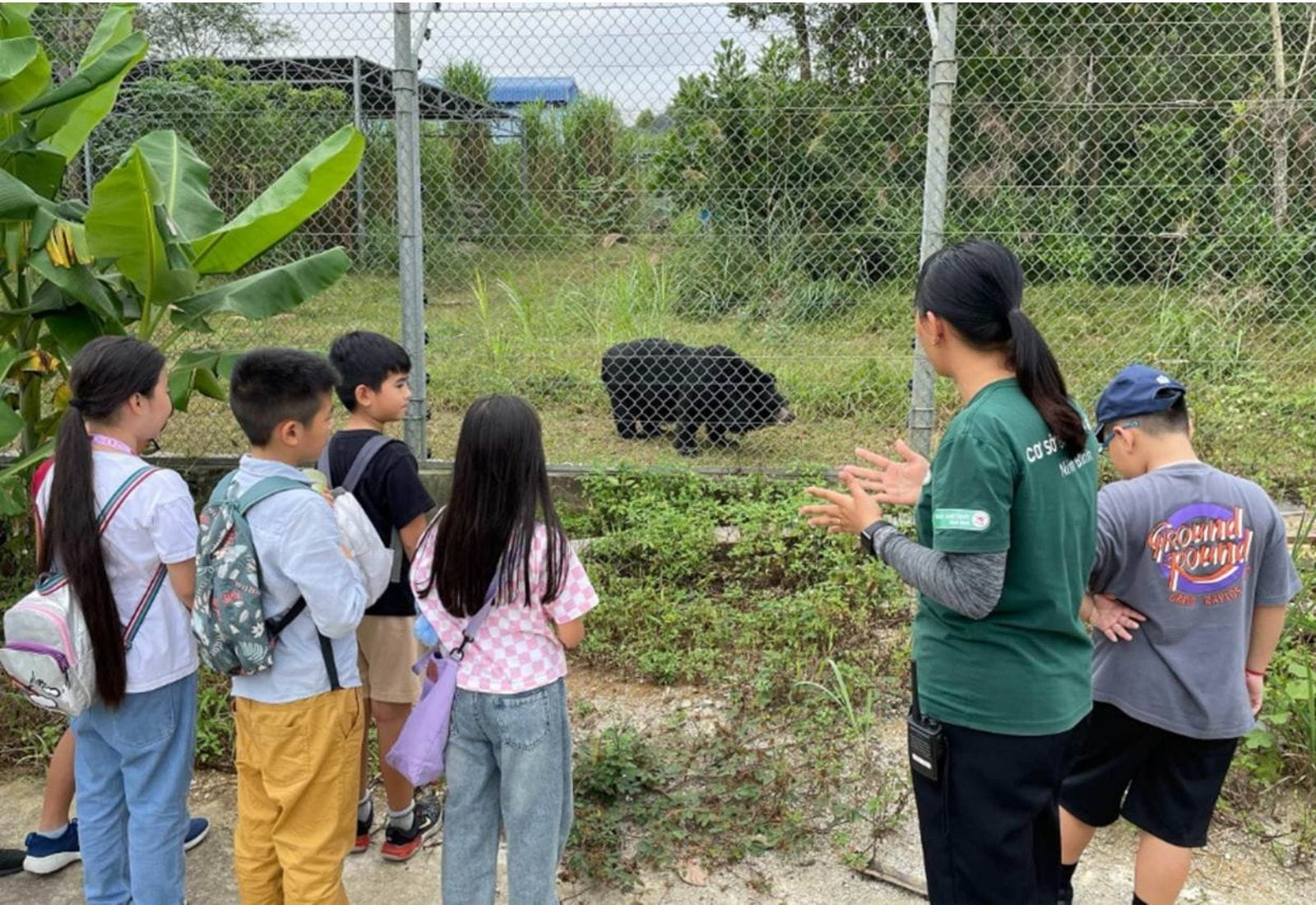 Bản tin hàng tuần ngày 3/11/2023 - Weekly Updates on 3-11-2023