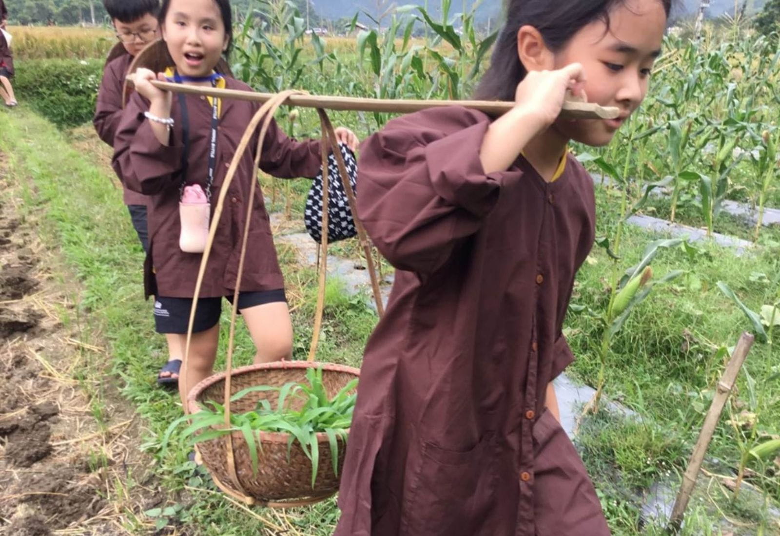Bản tin hàng tuần ngày 3/11/2023 - Weekly Updates on 3-11-2023