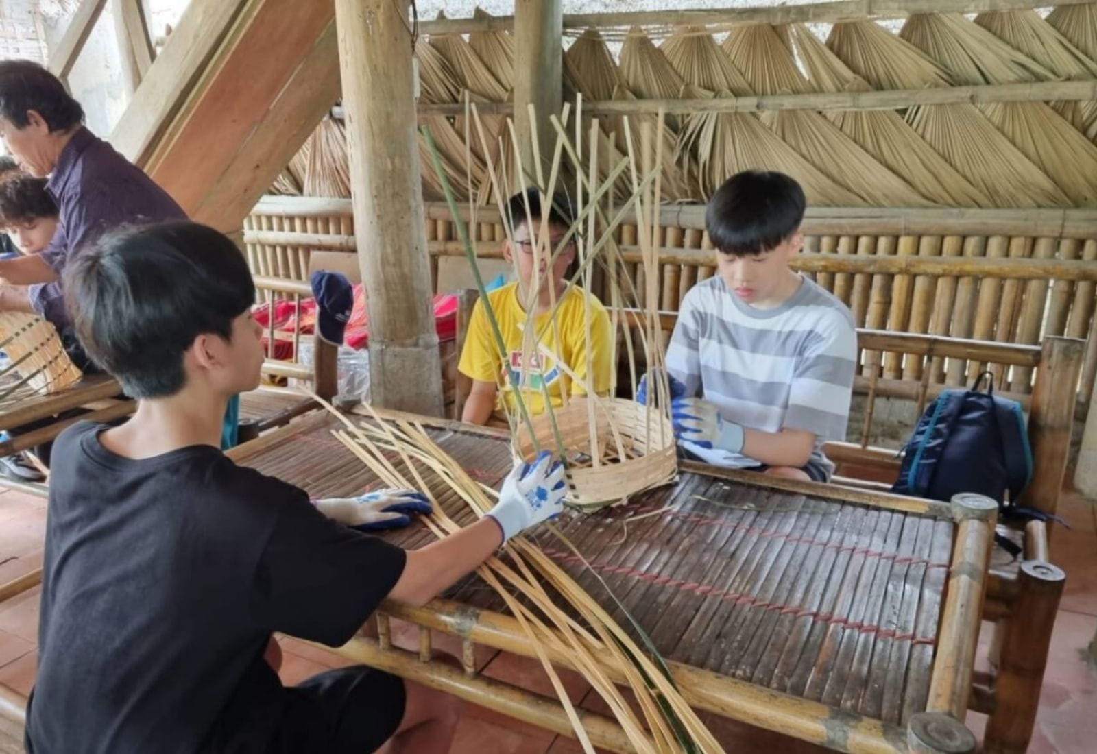 Bản tin hàng tuần ngày 3/11/2023 - Weekly Updates on 3-11-2023