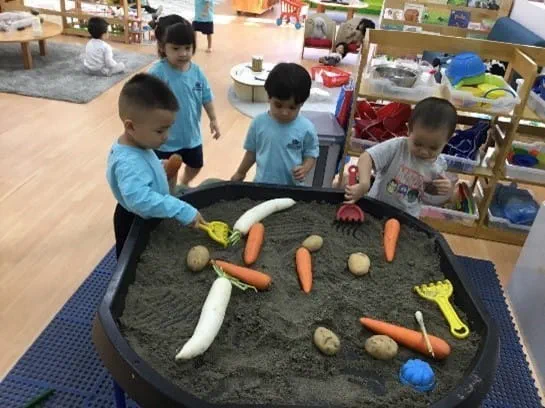 Bản tin hàng tuần ngày 01/12/2023 - Weekly Updates on 01-12-2023