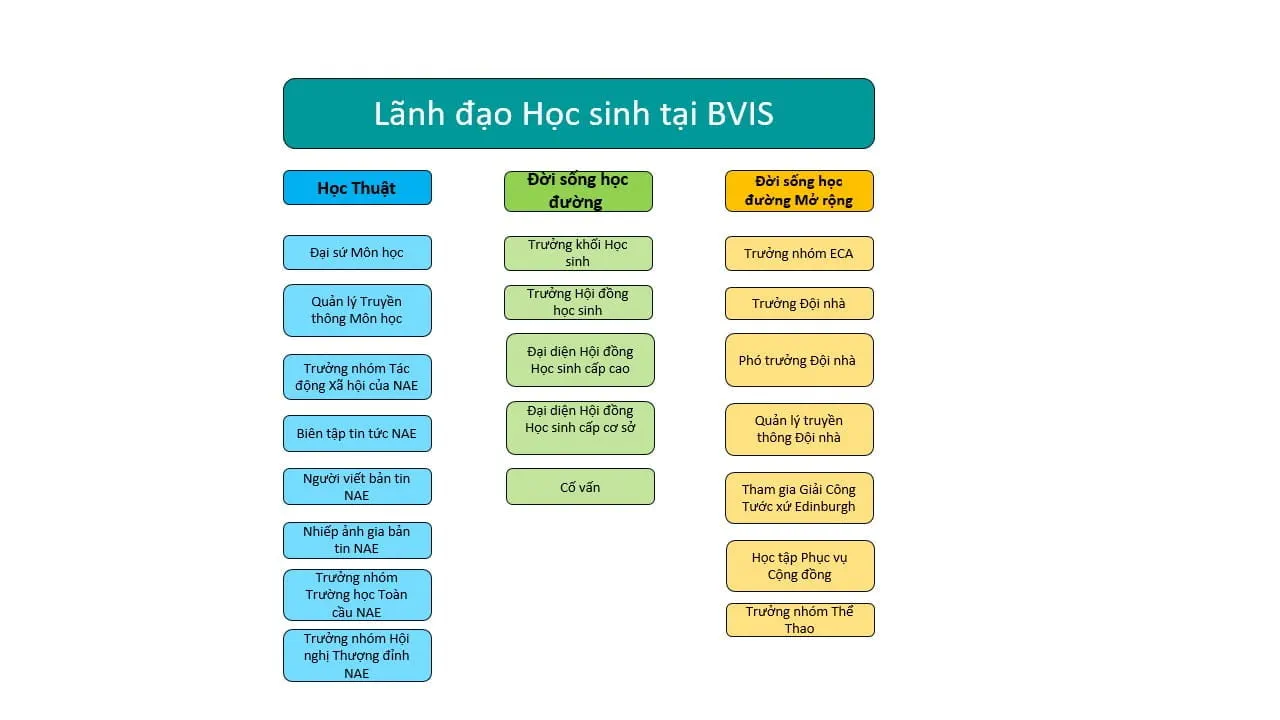 Bản tin hàng tuần ngày 22/9/2023 - Trường Quốc tế BVIS Hà Nội - Weekly Updates on 22-9-2023