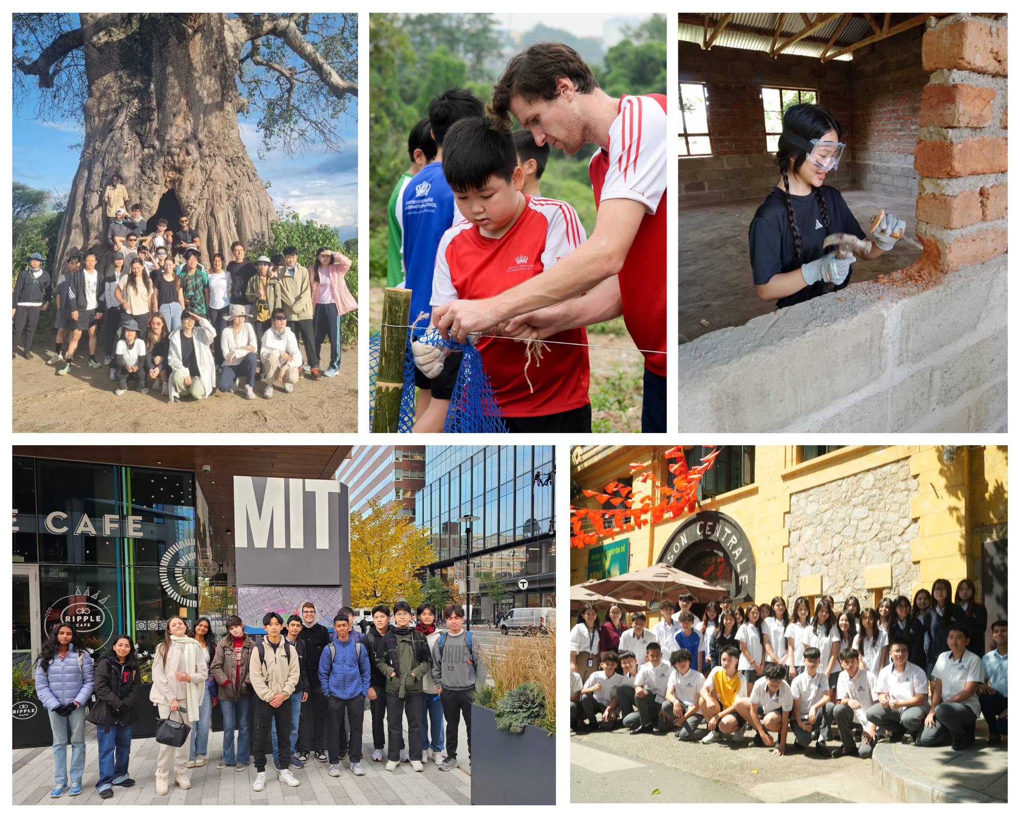 Weekly Updates on 14/03/2025 | BVIS Hanoi - Weekly Updates on 14-3-2025