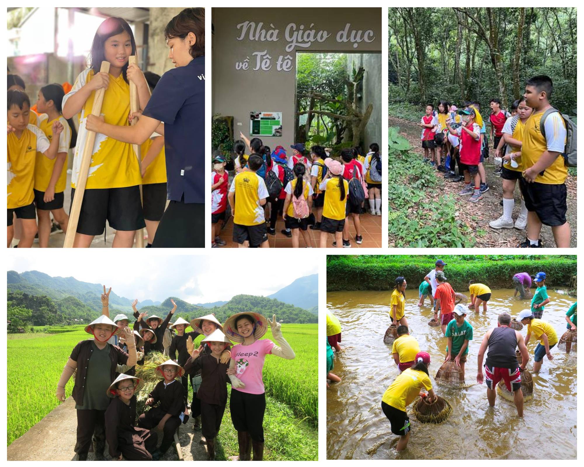 Weekly Updates on 14/03/2025 | BVIS Hanoi - Weekly Updates on 14-3-2025