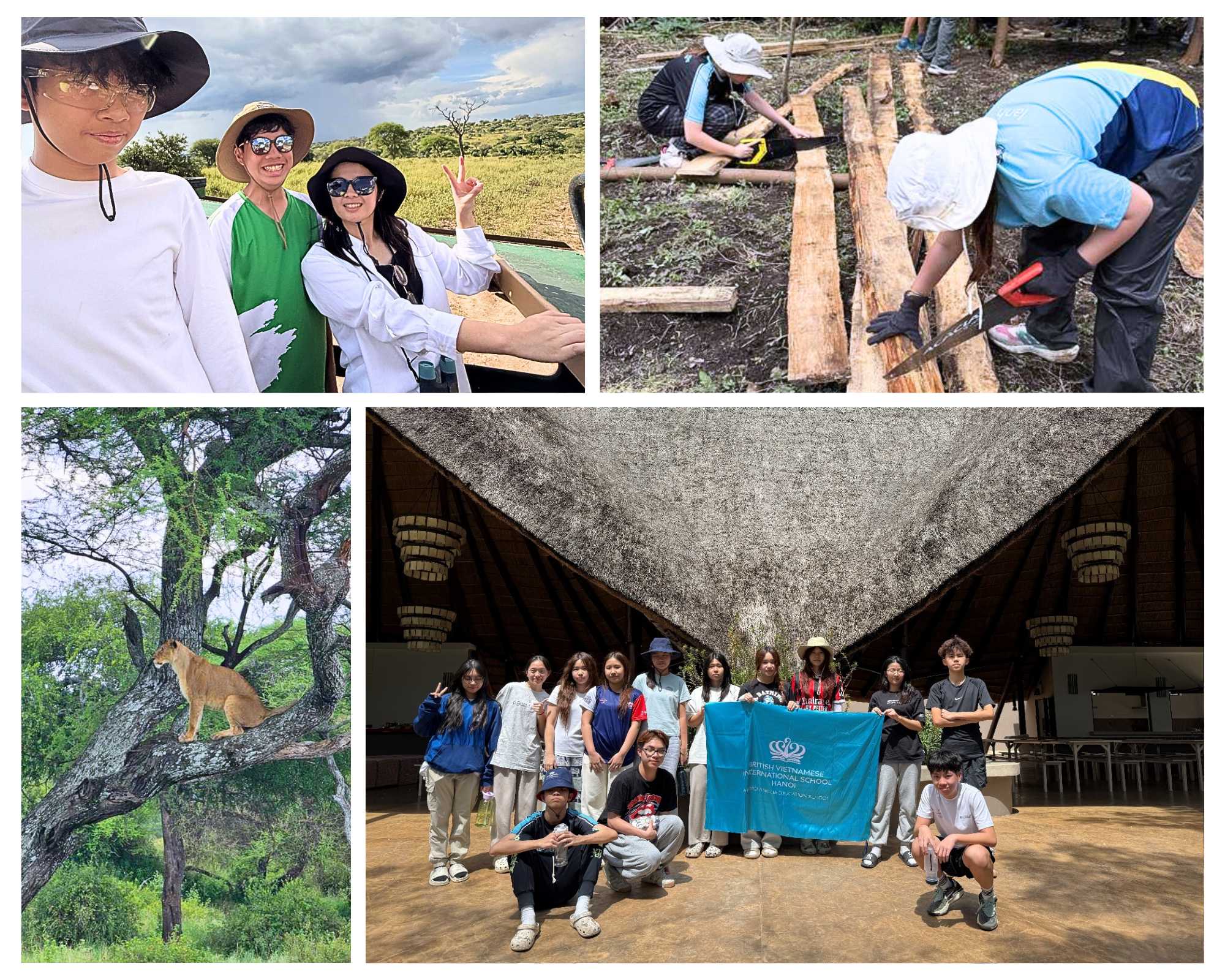 Student Highlights & Success Stories (24.03 - 28.03) | BVIS Hanoi - Weekly Updates on 28-3-2025