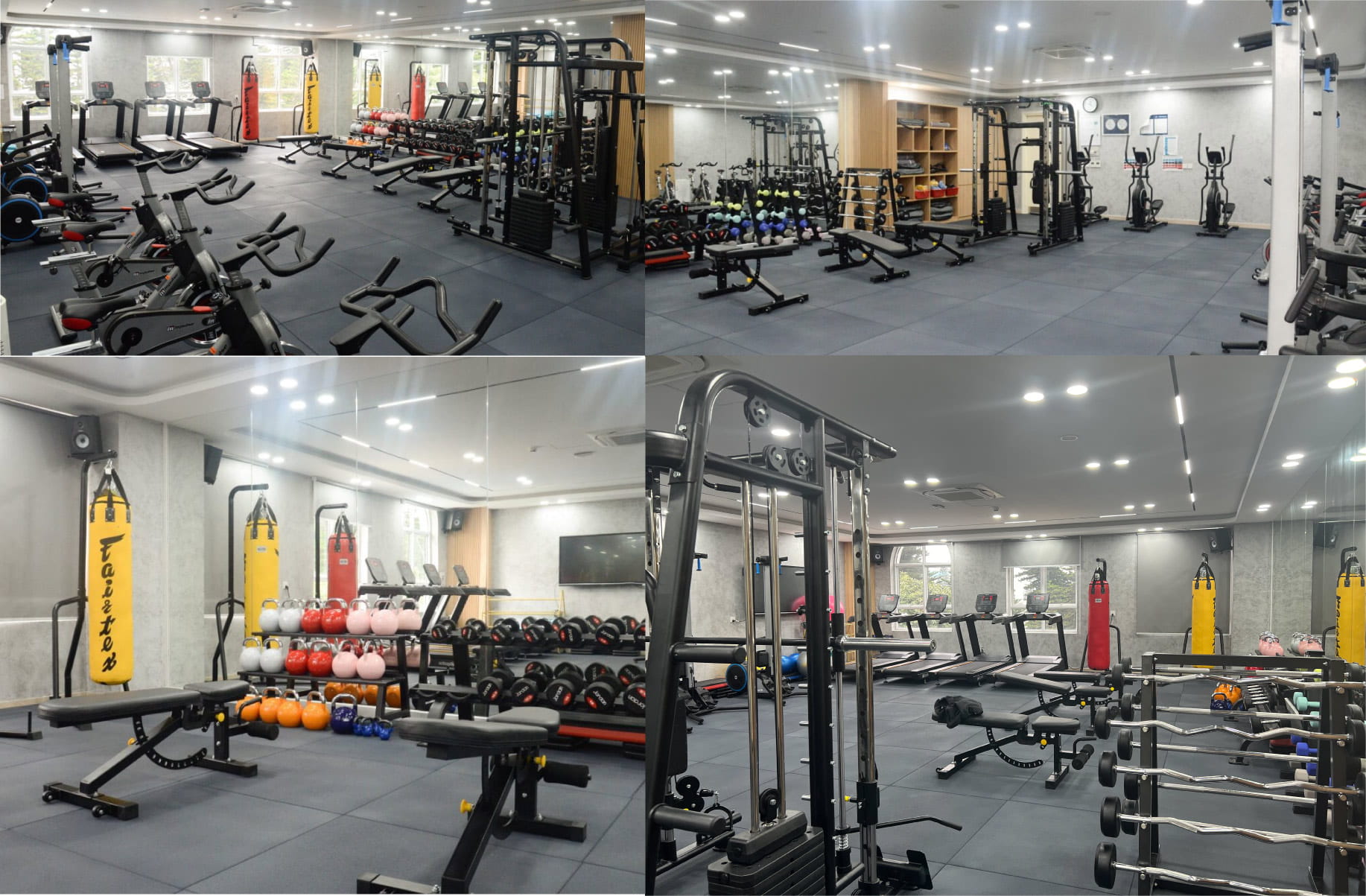 Weekly Updates on 01/03/2024 | BVIS Hanoi-Weekly Updates on 01-03-2024