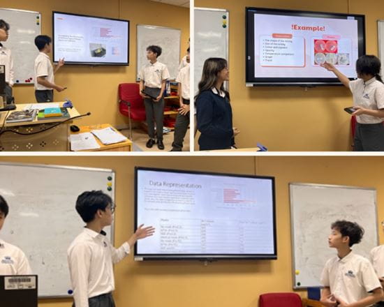 Bản tin hàng tuần ngày 01/03/2024 - Weekly Updates on 01-03-2024