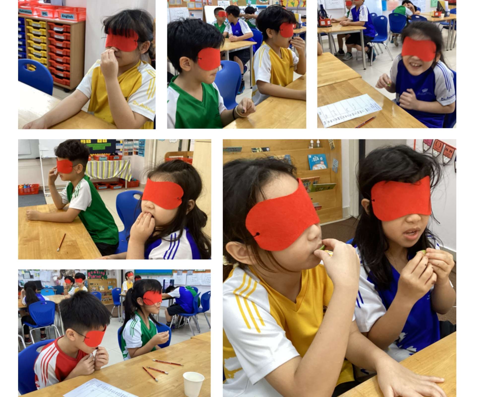 Weekly Updates on 01/11/2024 | BVIS Hanoi - Weekly Updates on 01-11-2024