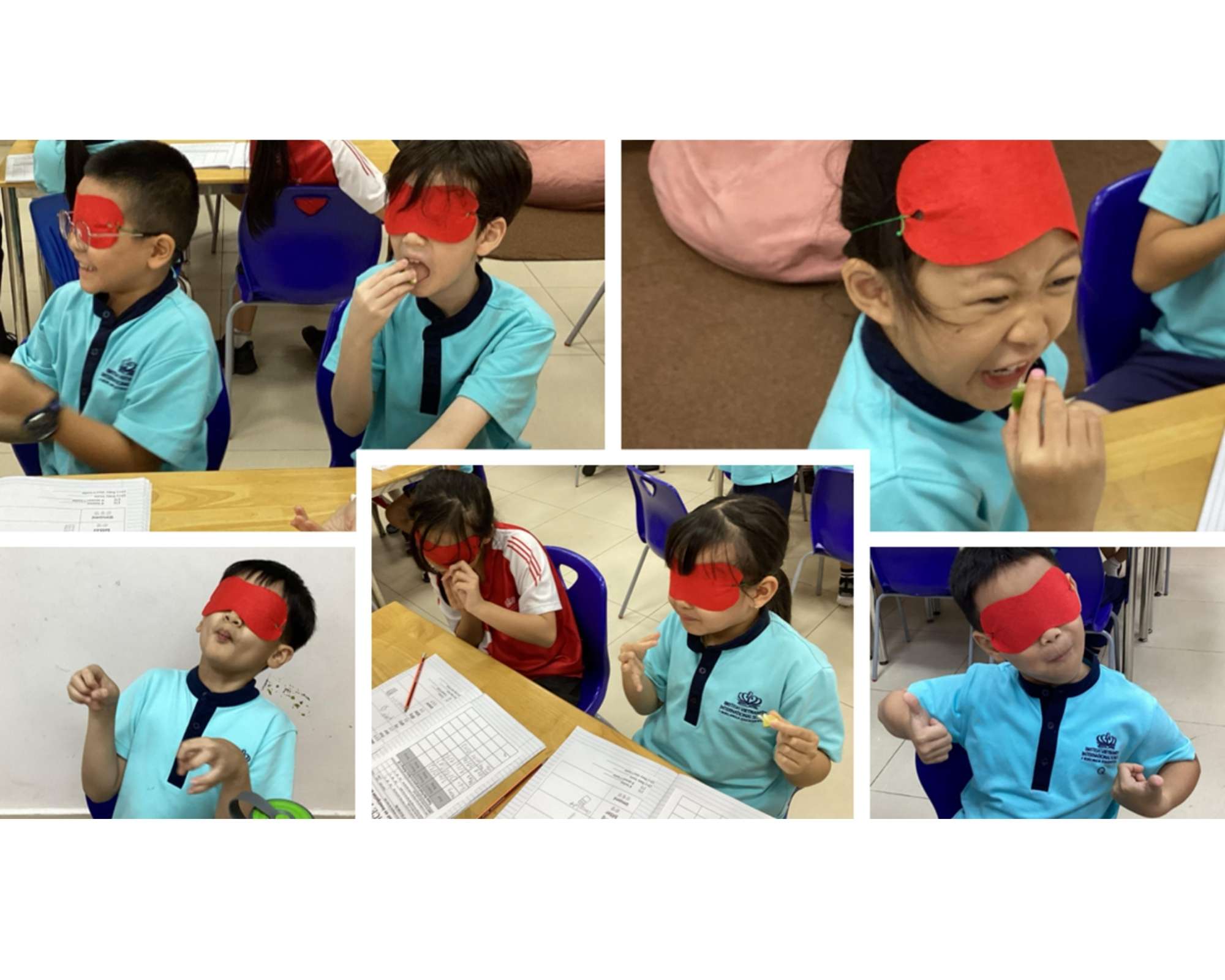 Weekly Updates on 01/11/2024 | BVIS Hanoi - Weekly Updates on 01-11-2024