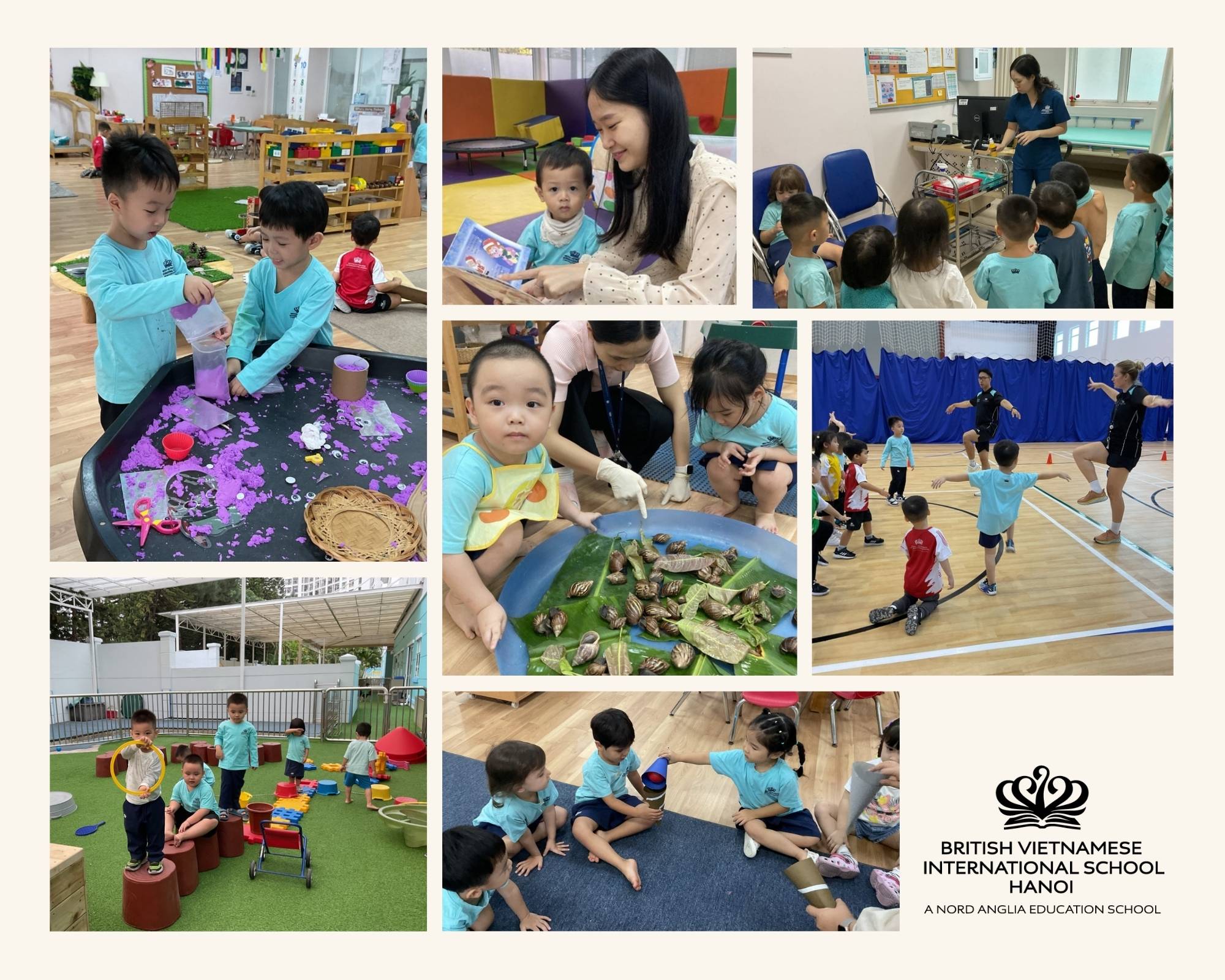 Weekly Updates on 08/11/2024 | BVIS Hanoi - Weekly Updates on 08-11-2024