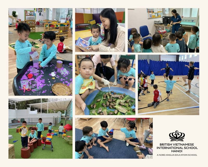 Tiêu điểm tuần - ngày 08/11/2024 - Weekly Updates on 08-11-2024